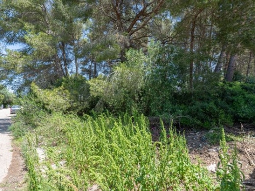 plot in Jávea