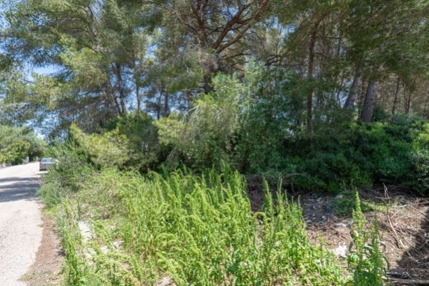 plot in Jávea