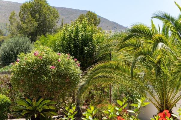 3 bed villa in Javea