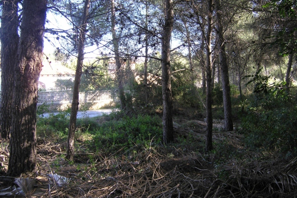 plot in Moraira