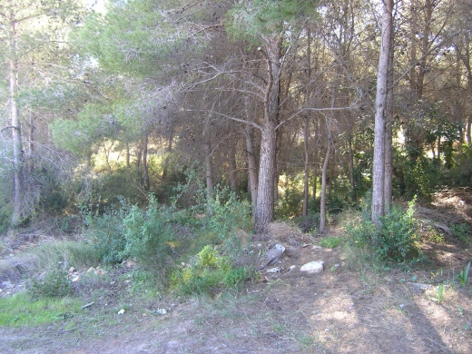 plot in Moraira