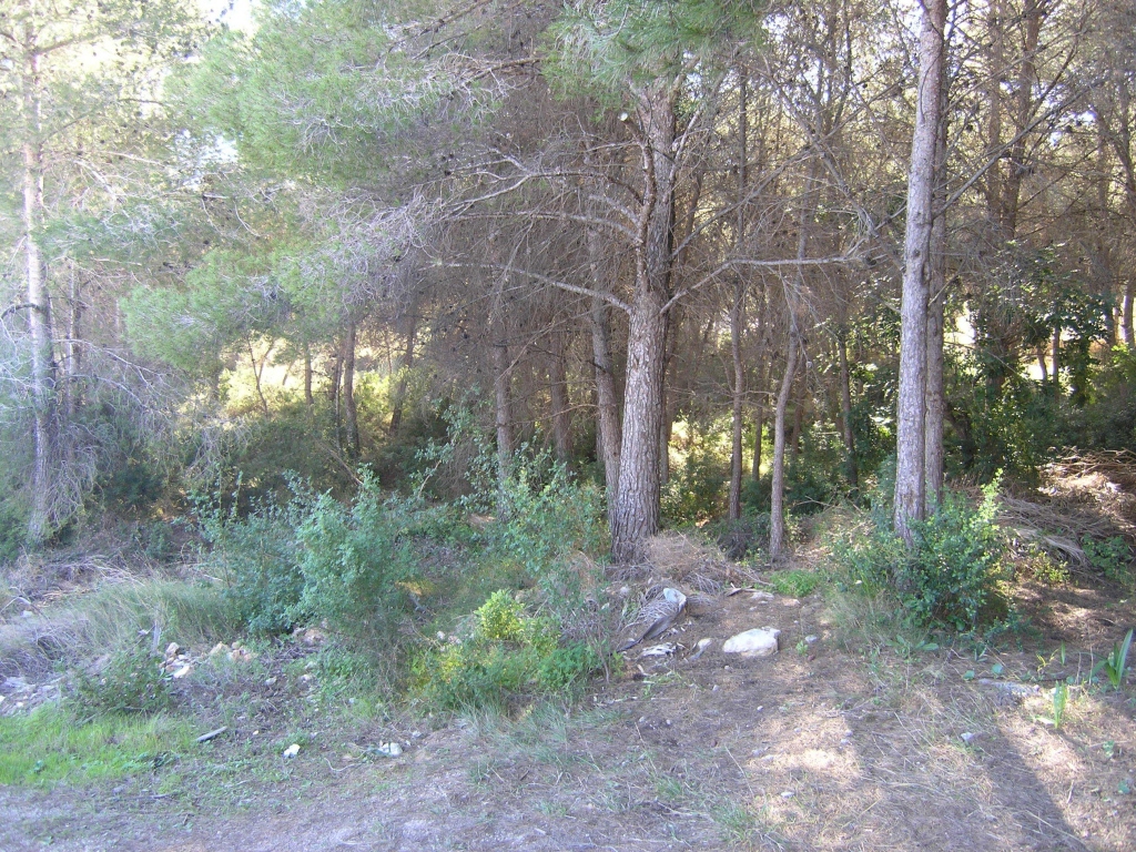 plot in Moraira