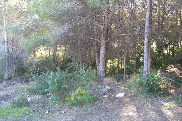 plot in Moraira