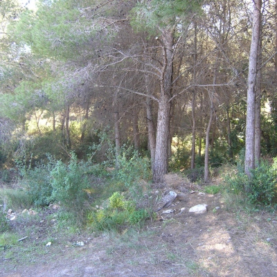 plot in Moraira