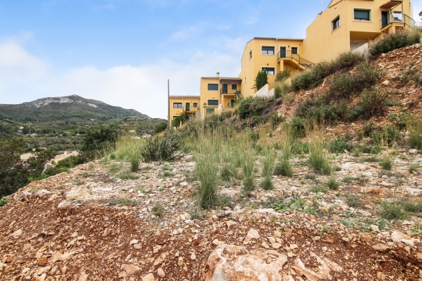 plot in Alcalali