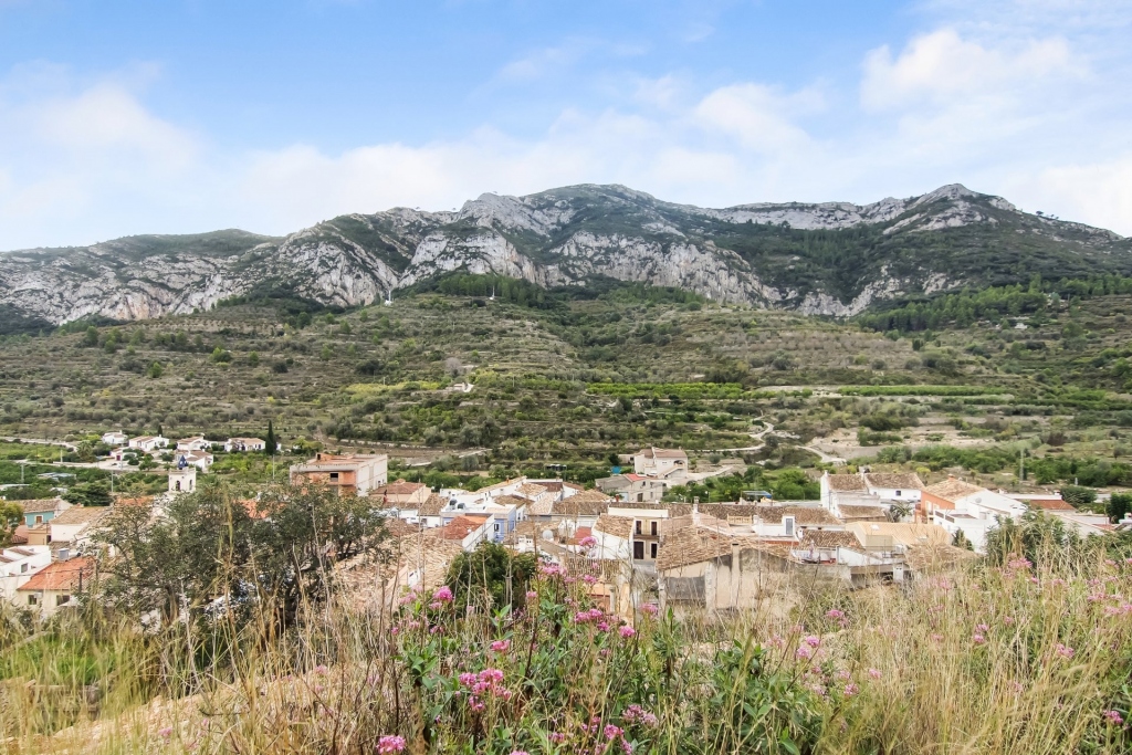 plot in Alcalali