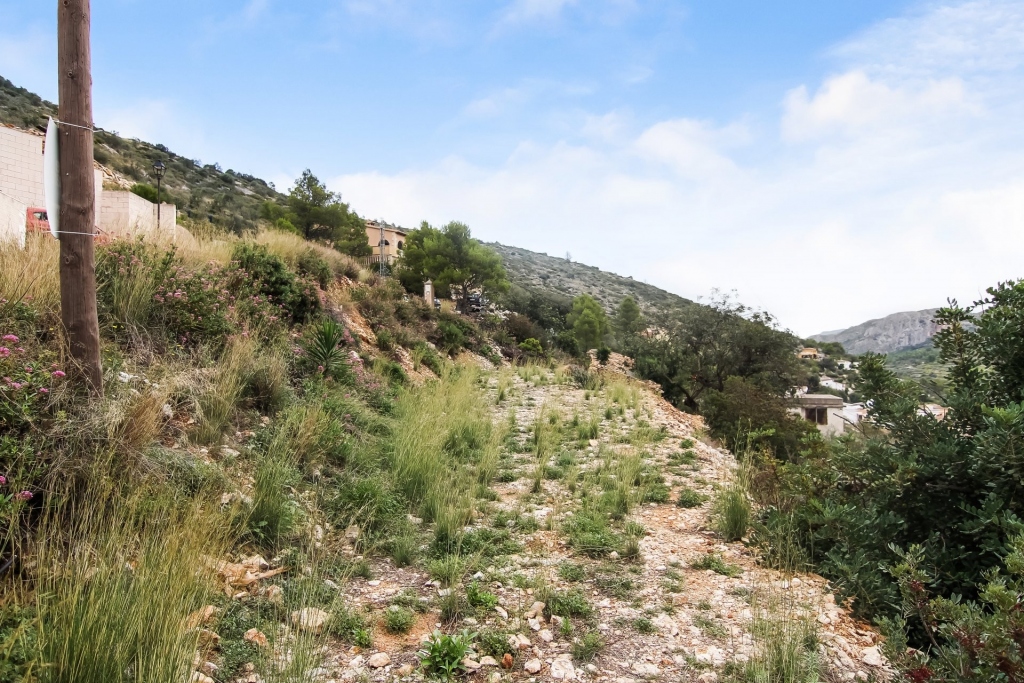 plot in Alcalali