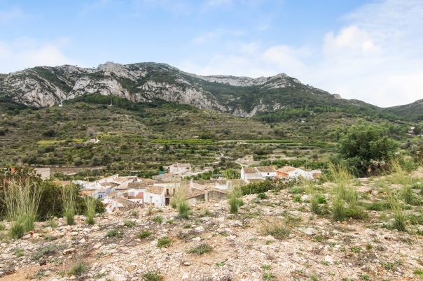 plot in Alcalali