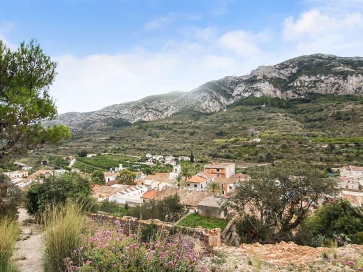 plot in Alcalali
