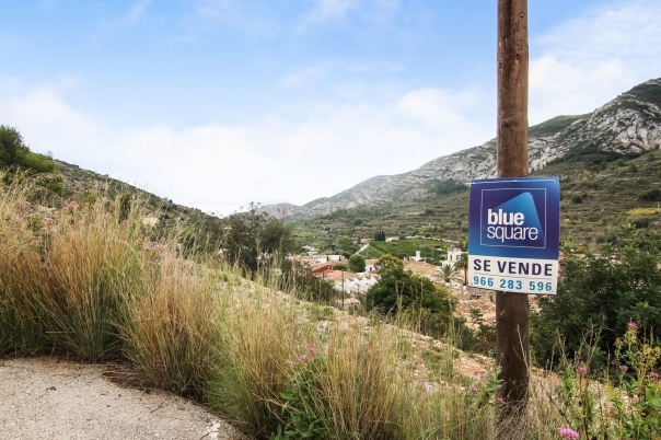 plot in Alcalali