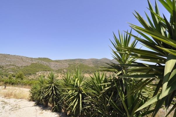 9 bed casa / chalet in Benissa