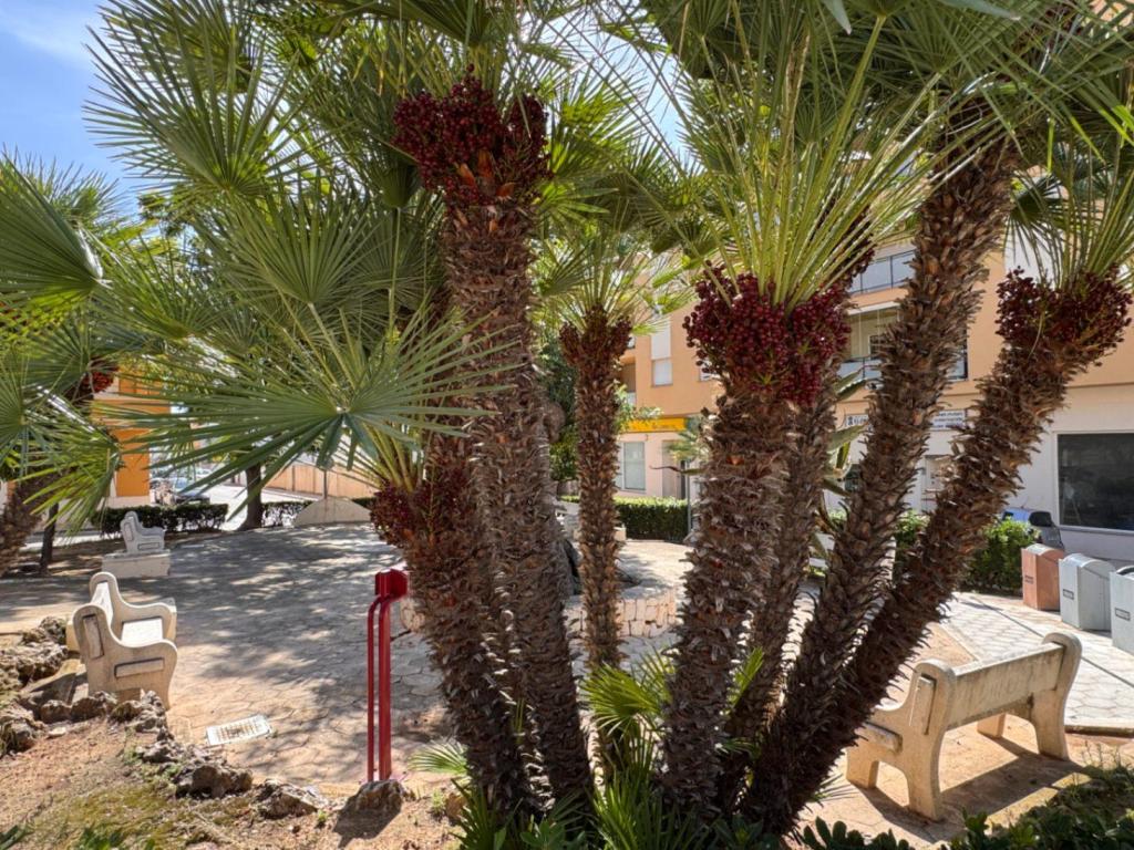 3 bed apartment in Teulada