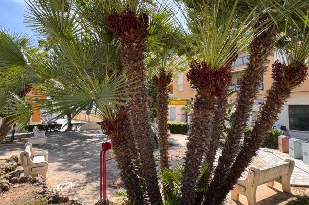 3 bed apartment in Teulada