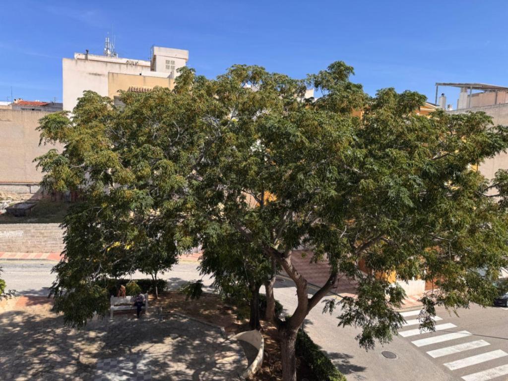 3 bed apartment in Teulada