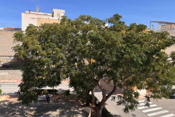 3 bed apartment in Teulada