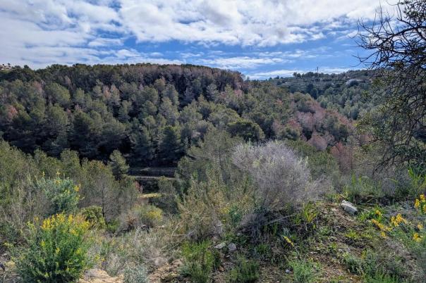 plots of land in Benissa
