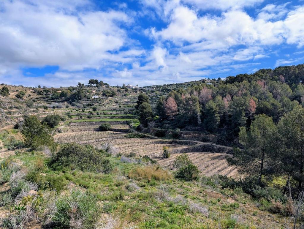plots of land in Benissa