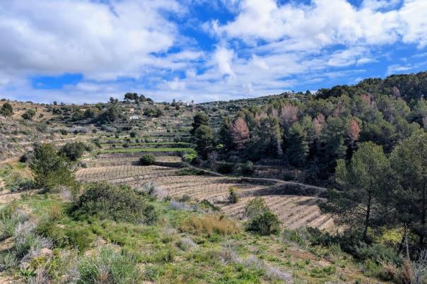 plots of land in Benissa