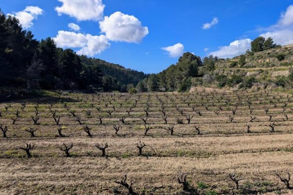 plots of land in Benissa
