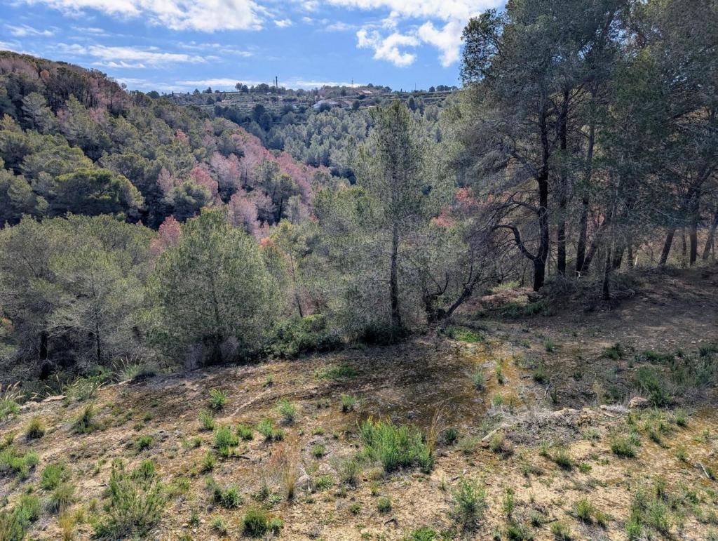 plots of land in Benissa