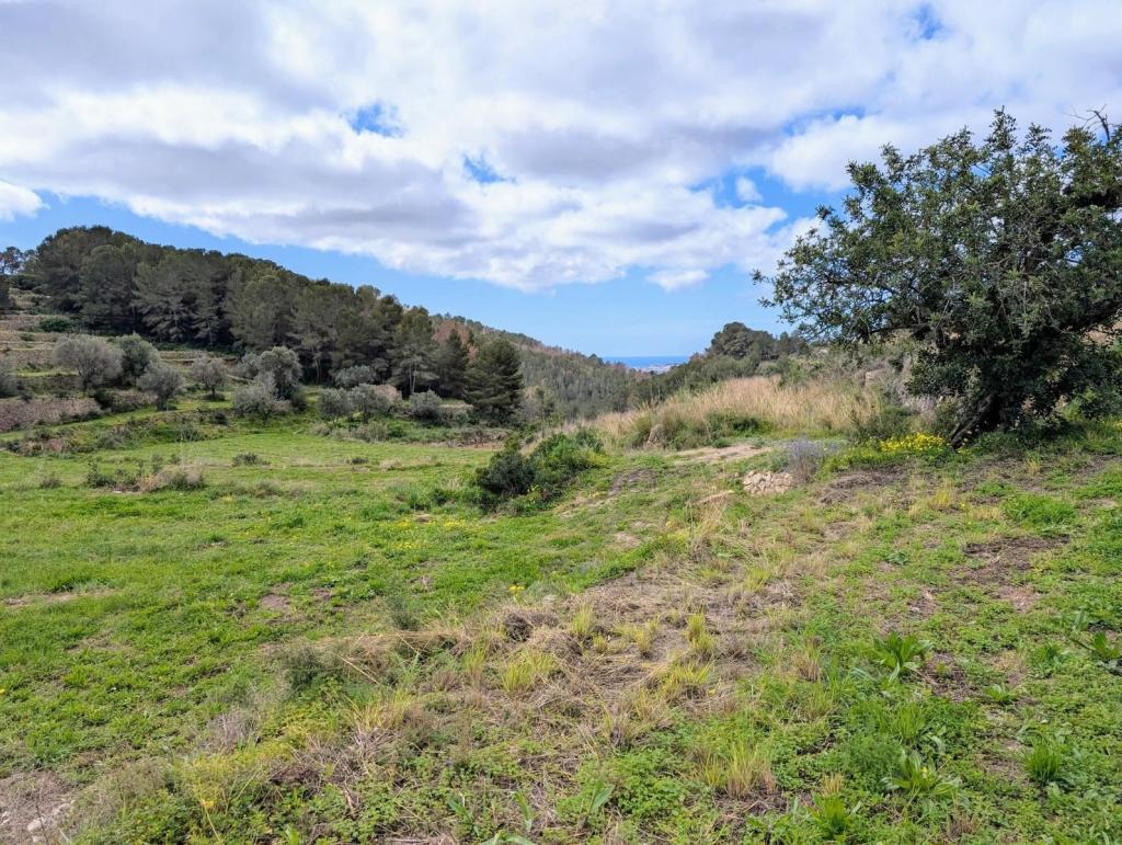 plots of land in Benissa