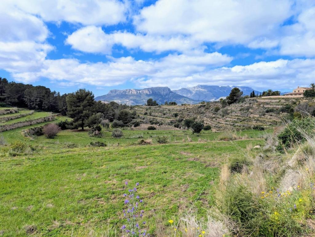 plots of land in Benissa
