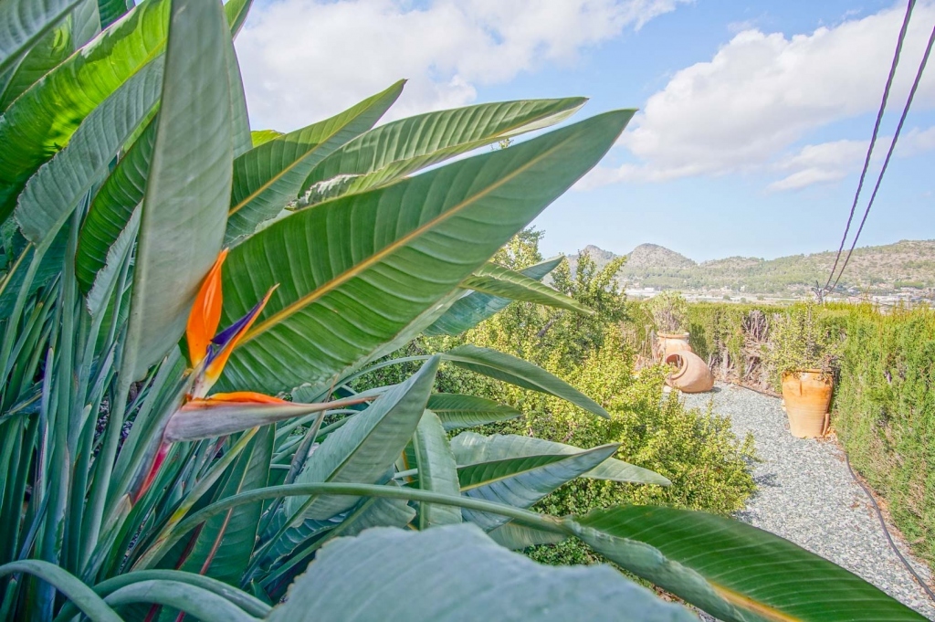 4 bed villa in Pedreguer