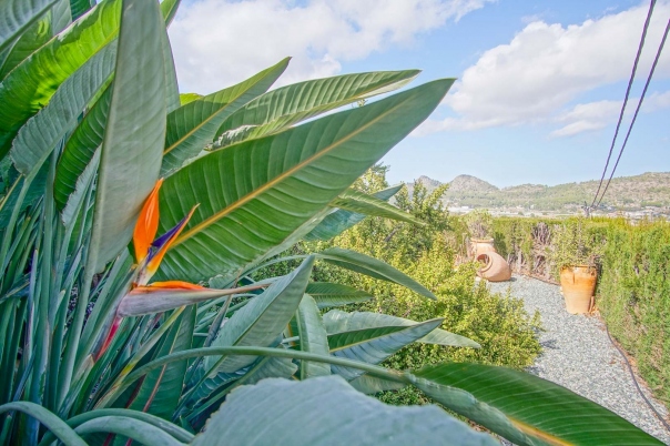 4 bed villa in Pedreguer