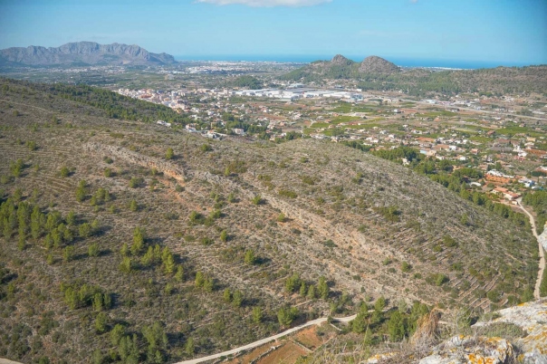 4 bed villa in Pedreguer