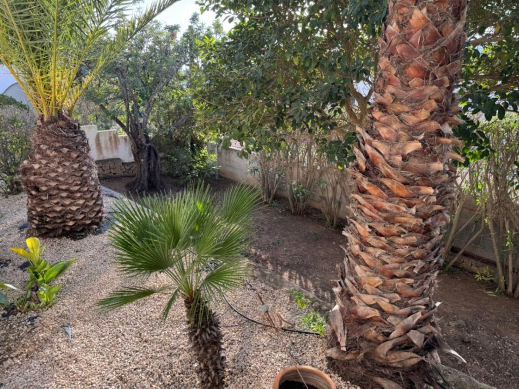 3 bed villa in Moraira