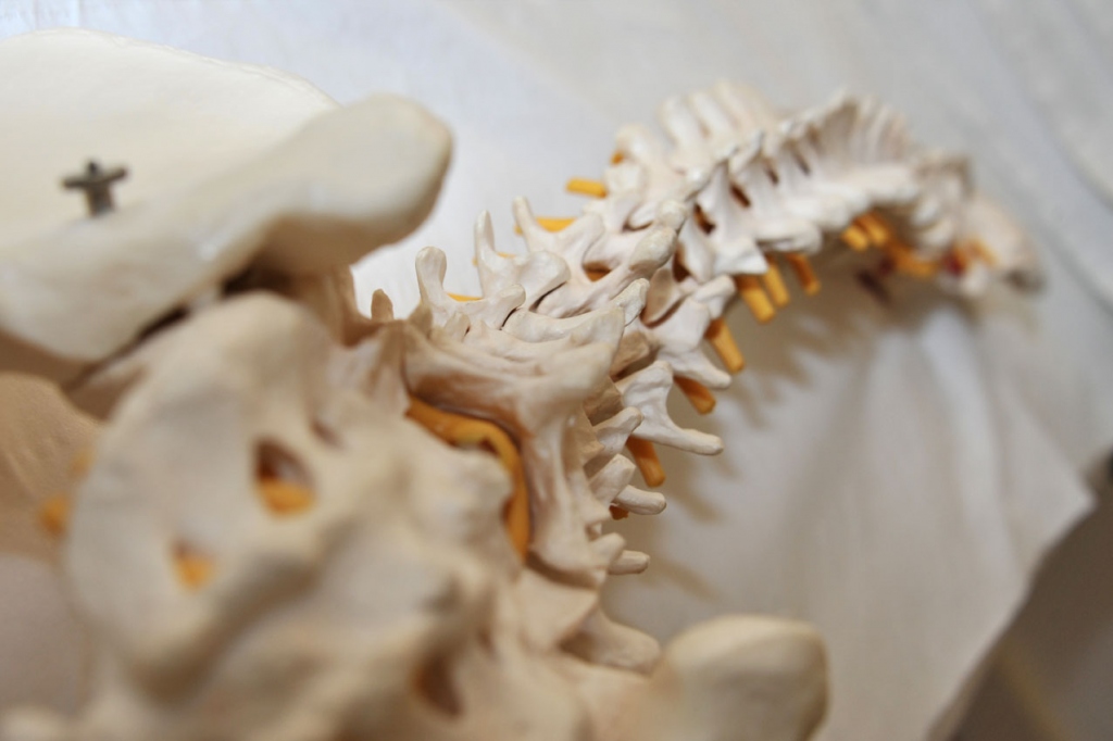 Anne den Ouden - Osteopaths Costa Blanca