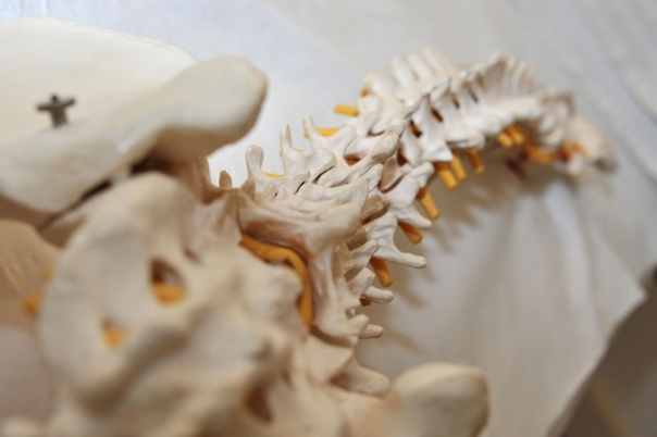 Anne den Ouden - Osteopaths Costa Blanca