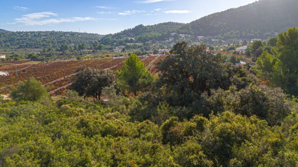 plot in Llíber
