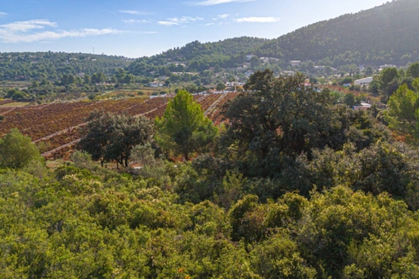 plot in Llíber