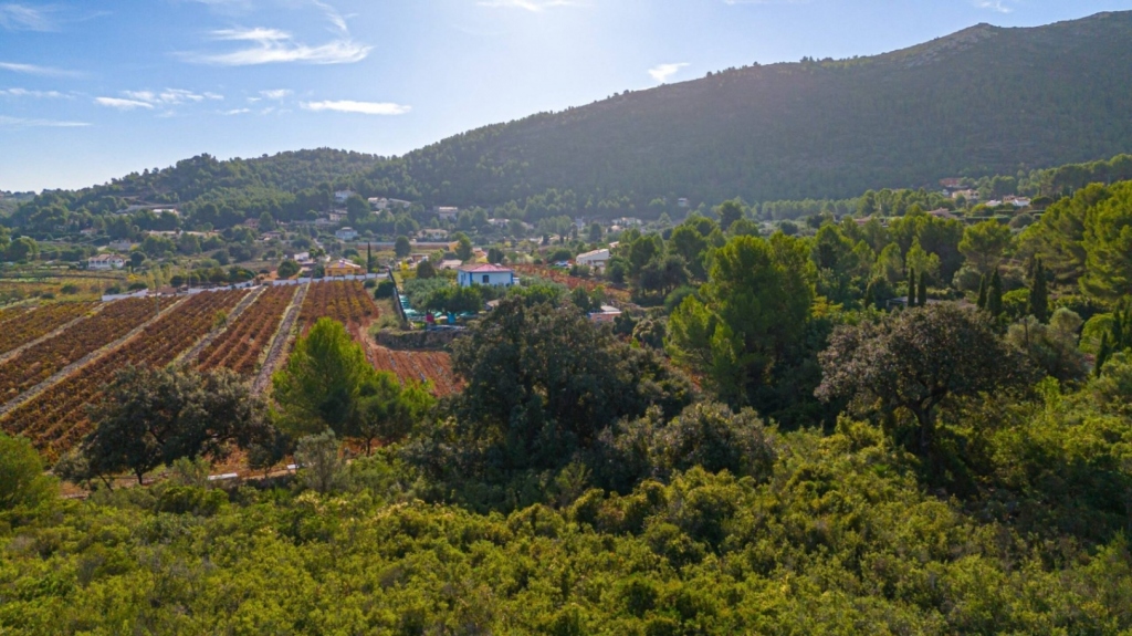 plot in Llíber