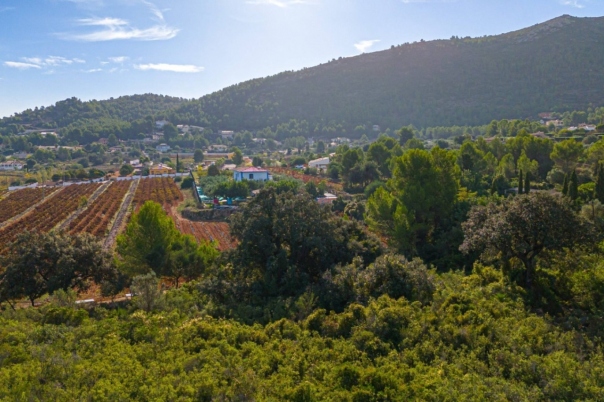 plot in Llíber