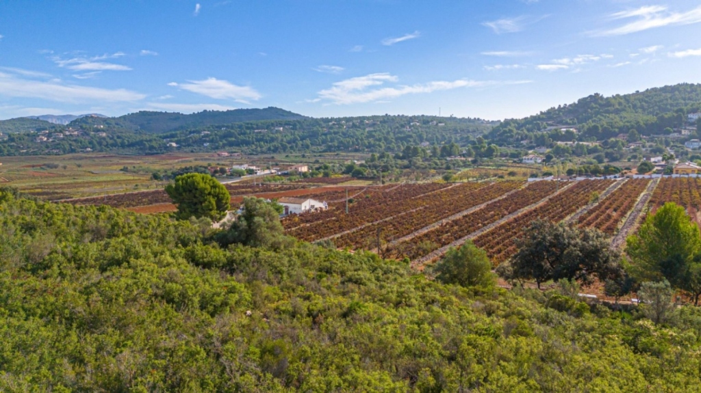 plot in Llíber