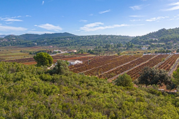 plot in Llíber
