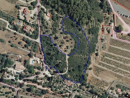 plot in Llíber