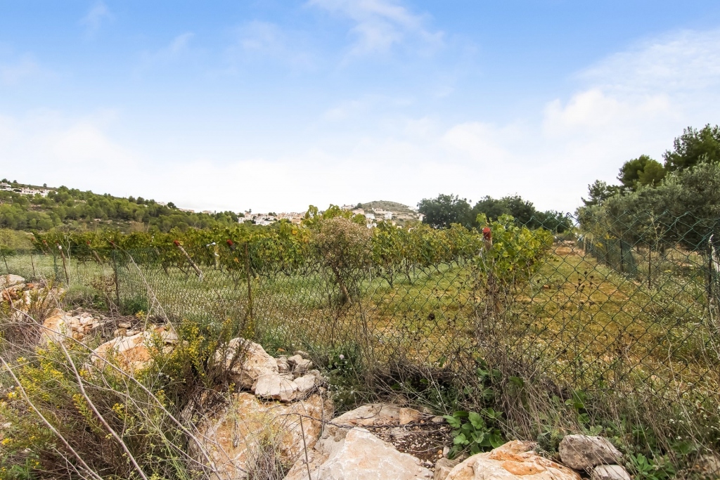 plot in Pedreguer