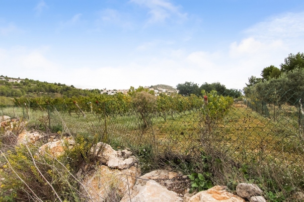 plot in Pedreguer