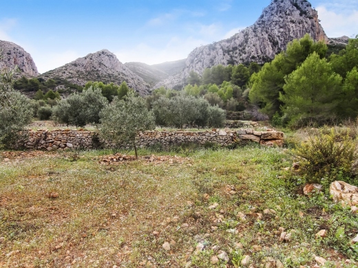 plot in Pedreguer