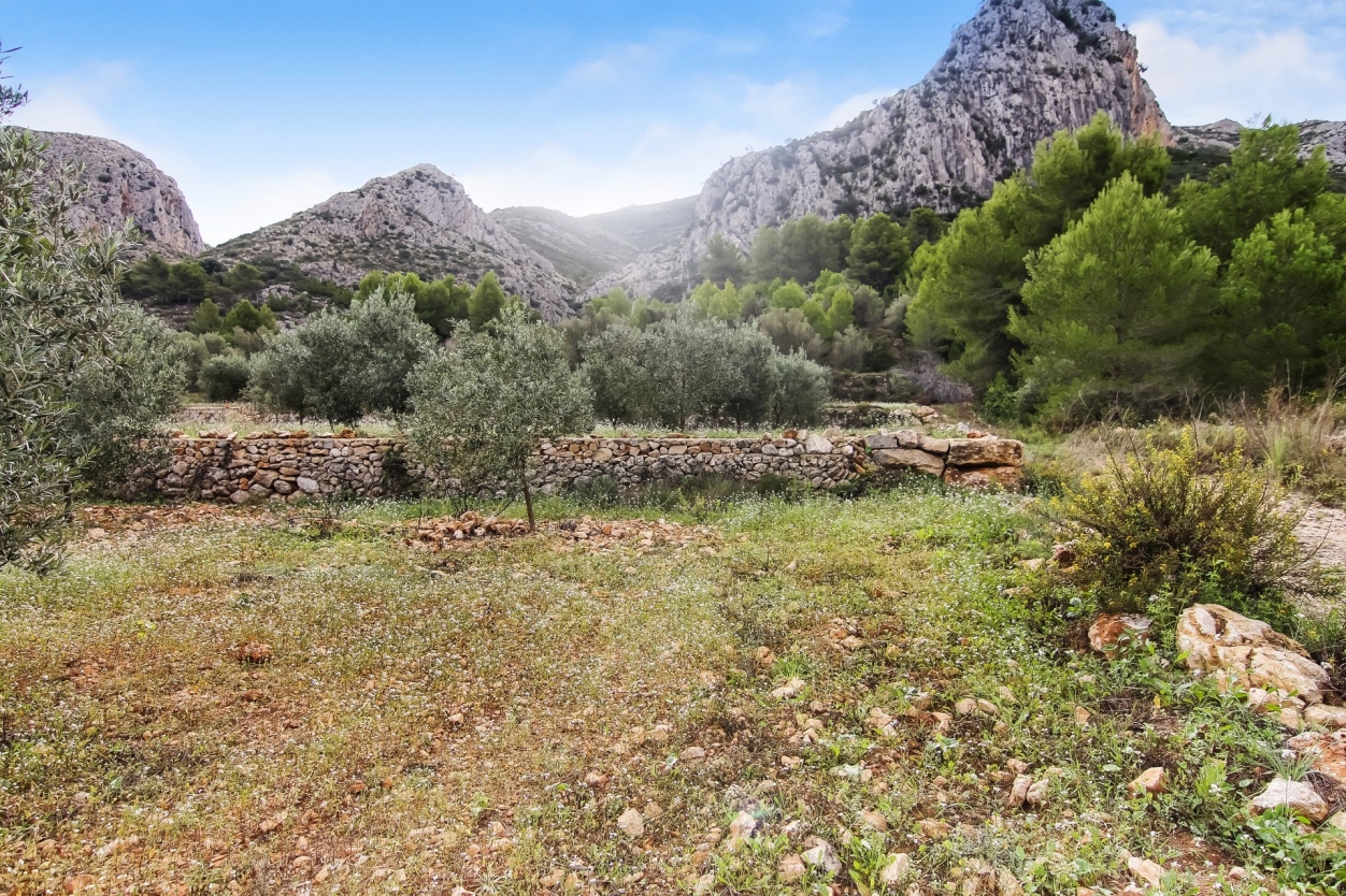plot in Pedreguer
