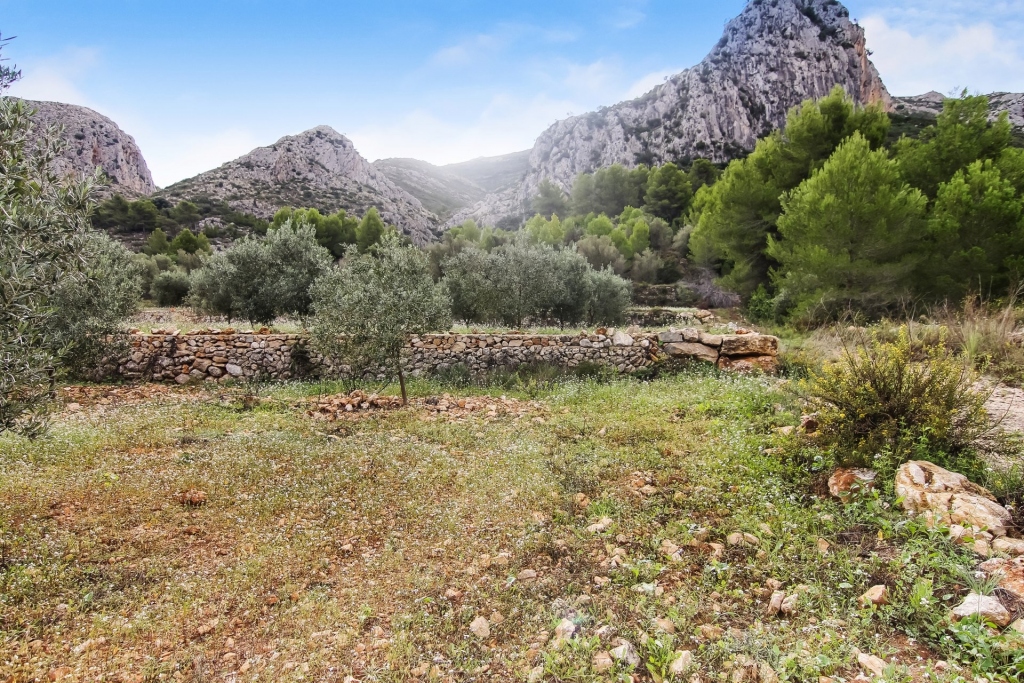 plot in Pedreguer