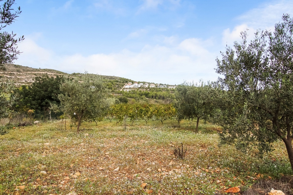 plot in Pedreguer