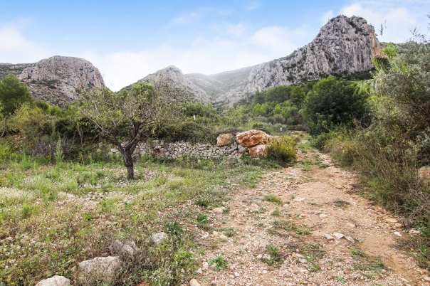 plot in Pedreguer