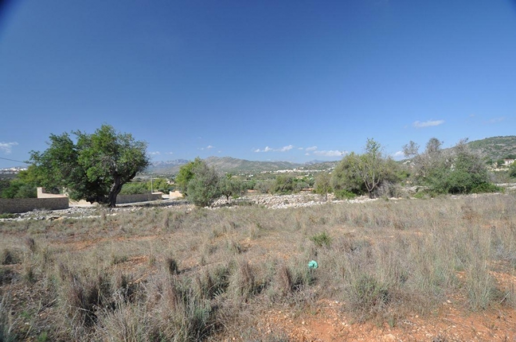 plot in Benissa