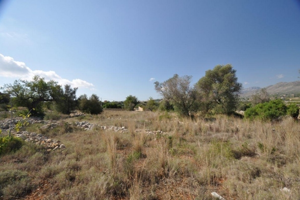 plot in Benissa