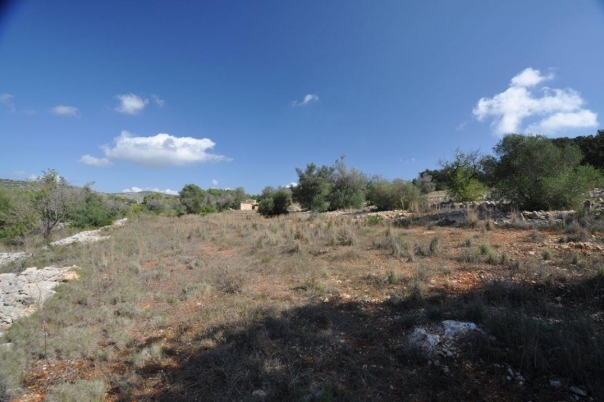 plot in Benissa