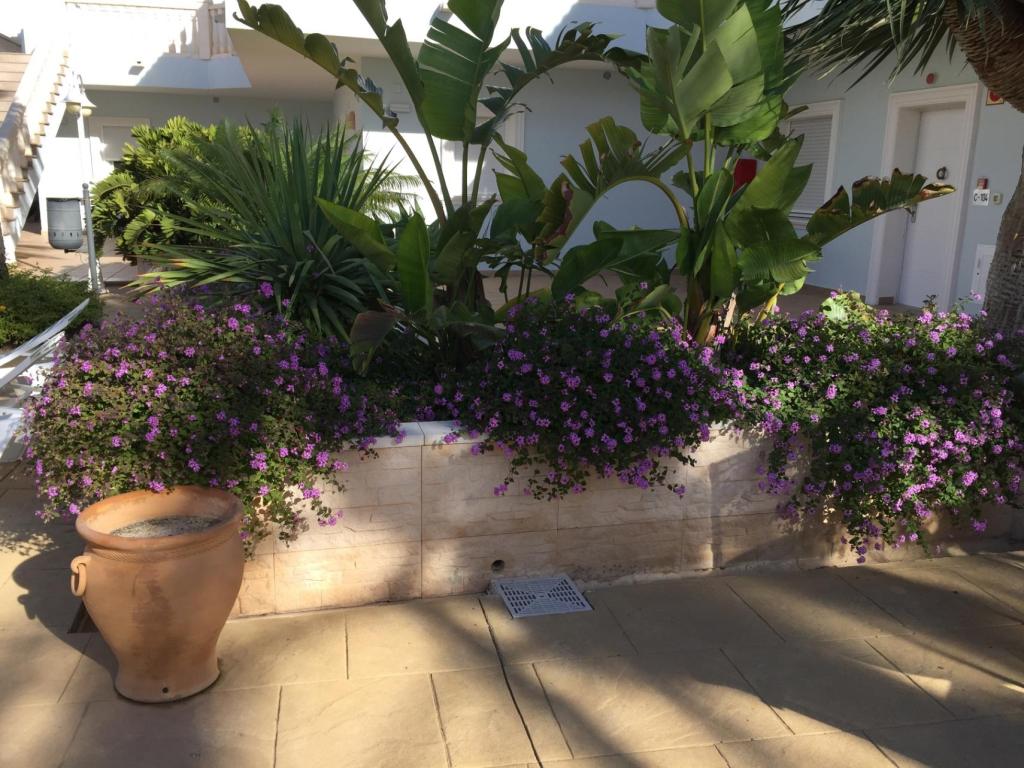2 bed apartment in Benissa